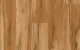 Revive  Western Blackbutt