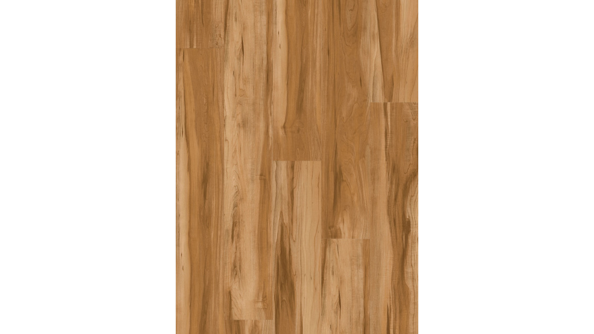 Revive  Western Blackbutt