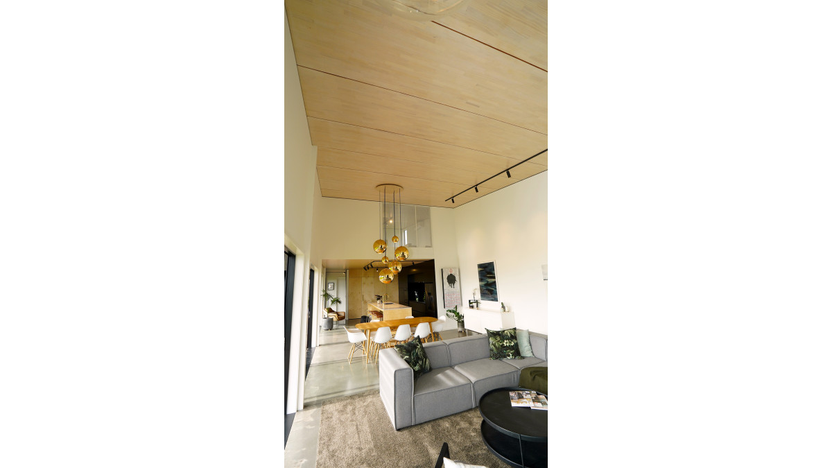 woodspan ceiling DSC07212