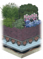 Intensive Garden Roof Example