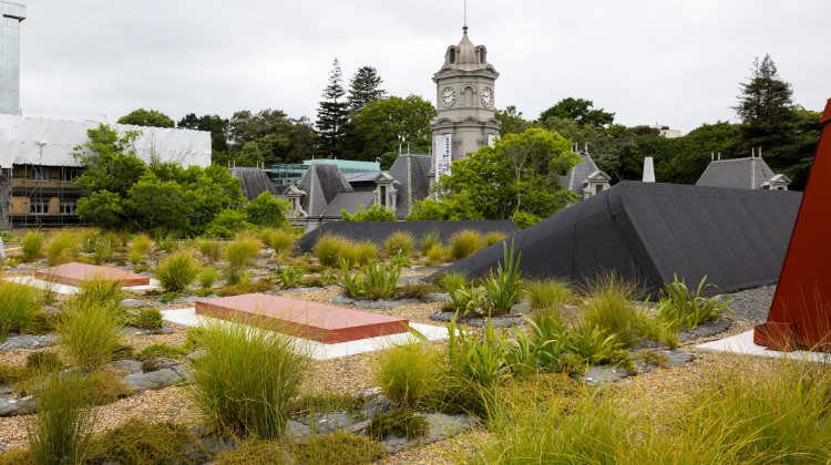 Green Roof