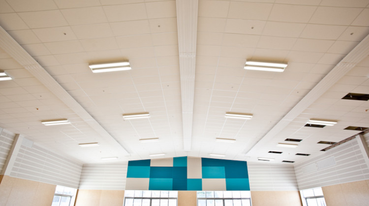 Acoustic Reflectors