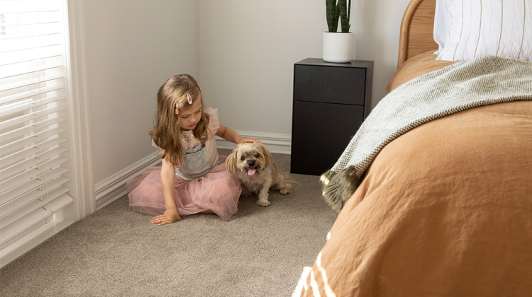 Belgotex Broadloom Carpets — Residential
