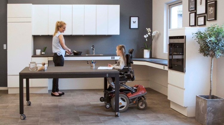 Accessible Kitchens and Bathrooms