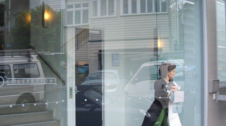 Frameless Commercial Doors