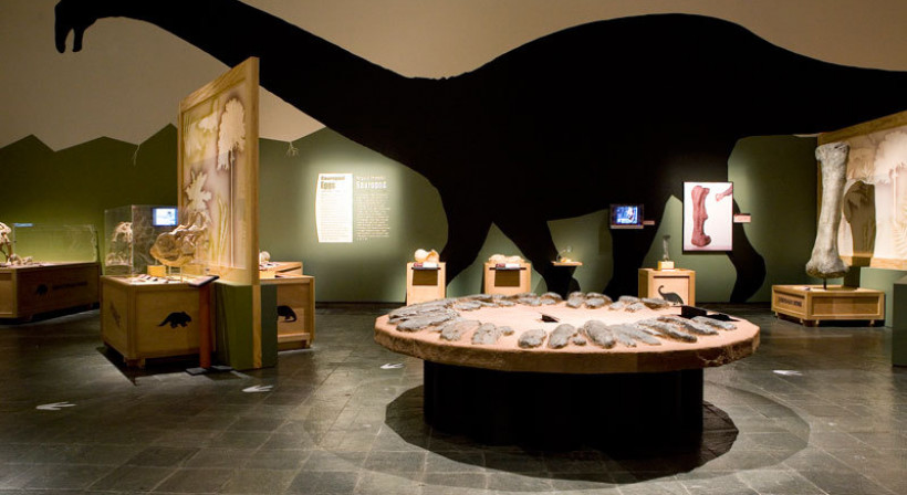 Resene Total Colour Display Award Winner – Dinosaur Exhibition at Waikato Museum
