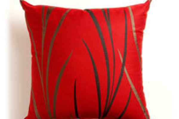Complementary Cushions from Resene