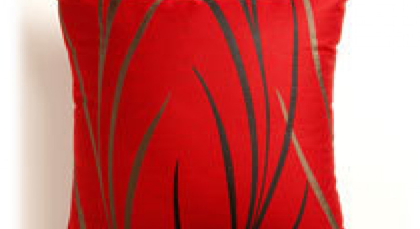 Complementary Cushions from Resene