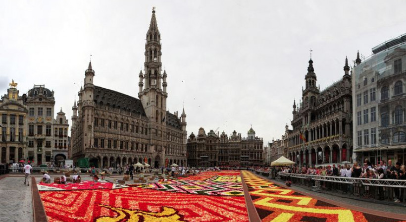 Great Colours in Carpet from Belgium