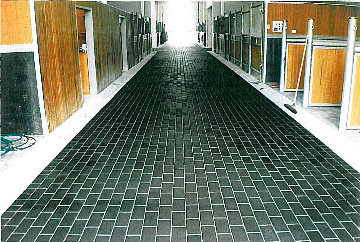 Rubber Pavers Now Manufactured in New Zealand EBOSS