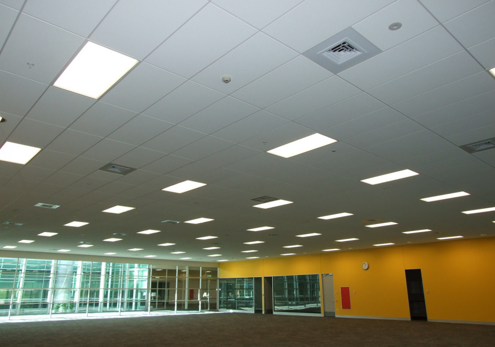 Creating a Quality Environment for Fisher & Paykel