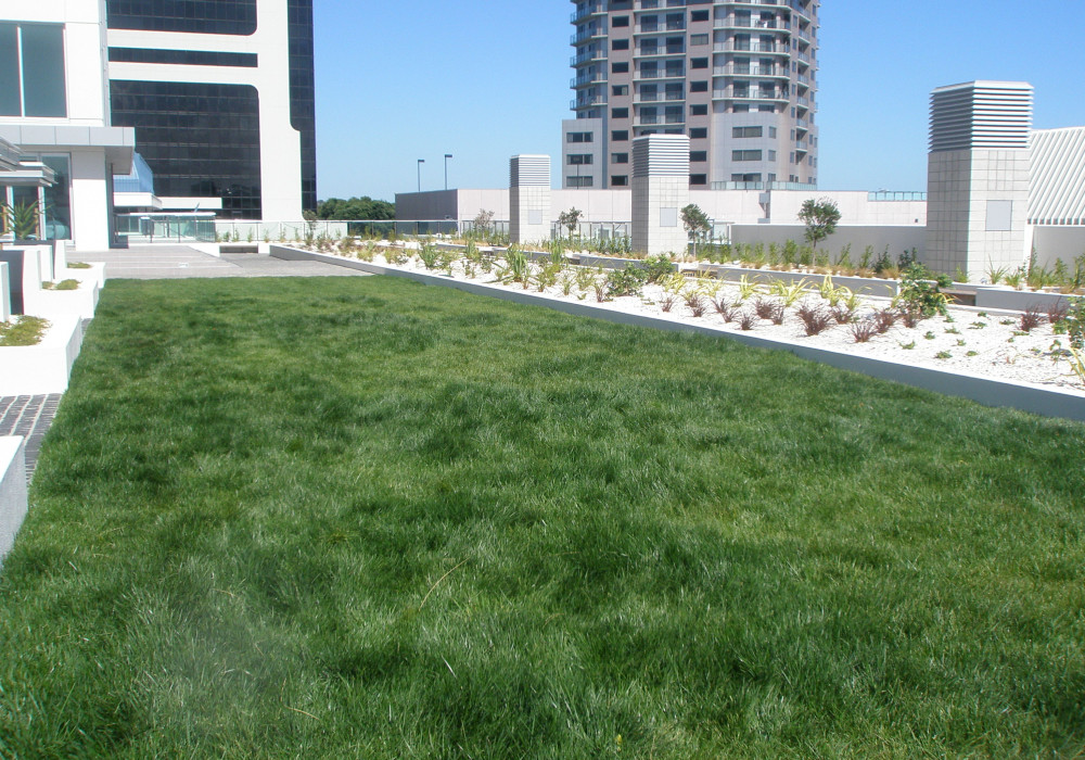 Casali Eradix Root Barrier for Green Roofs and Planters