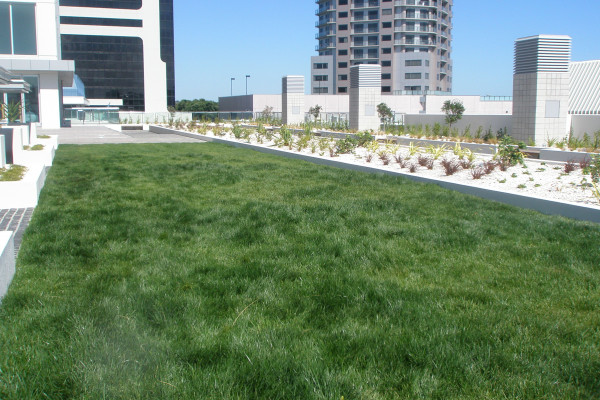 Casali Eradix Root Barrier for Green Roofs and Planters