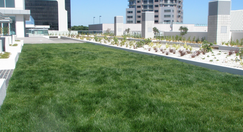 Casali Eradix Root Barrier for Green Roofs and Planters