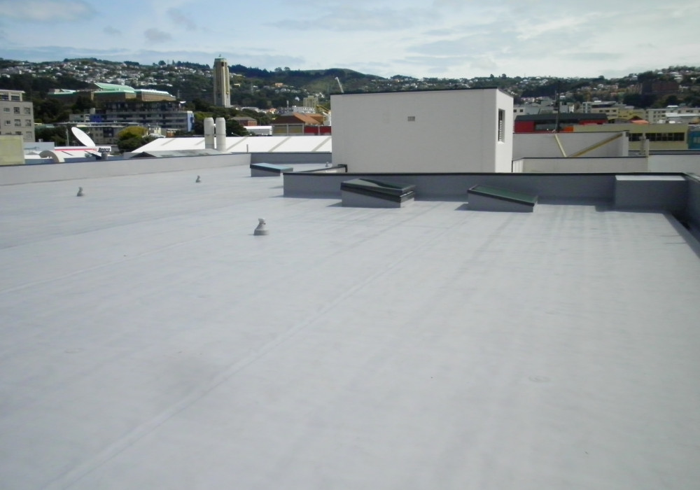 A New Roof Protects Wellington's Architectural History