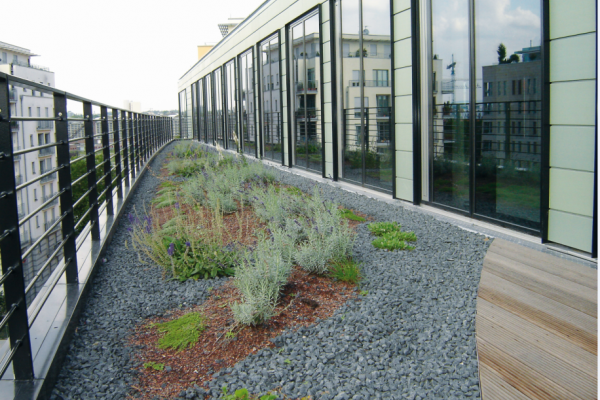 ProfiLine: A Drainage Solution for Green Roofs