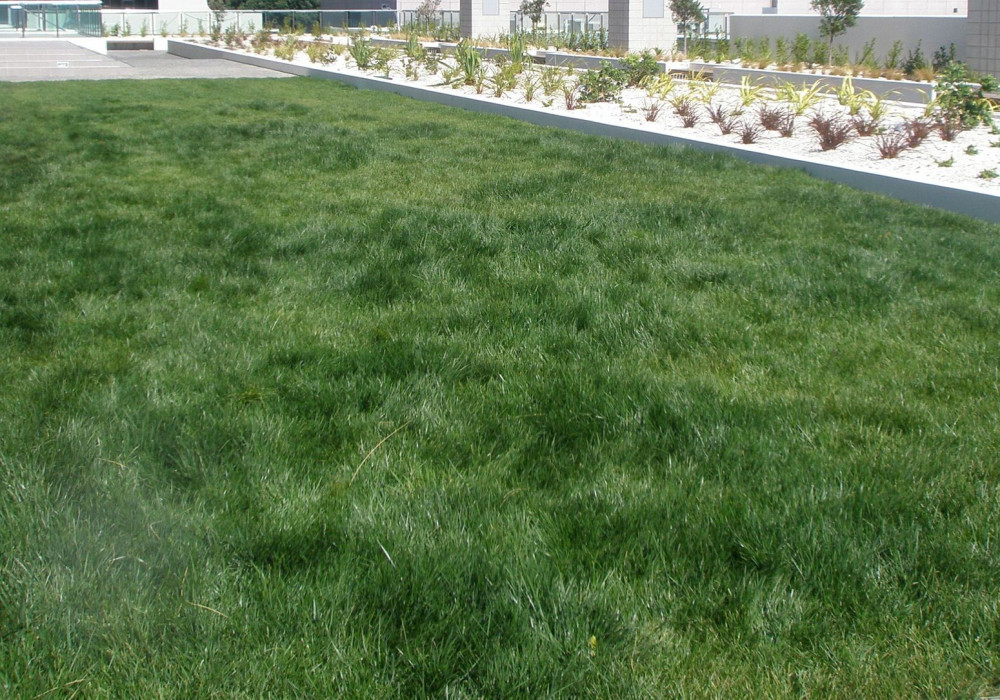 Casali Dermabit Extra: Durable, Torch-on Deck Waterproofing 