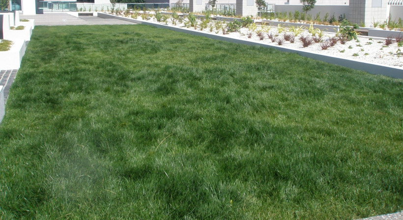 Casali Dermabit Extra: Durable, Torch-on Deck Waterproofing 
