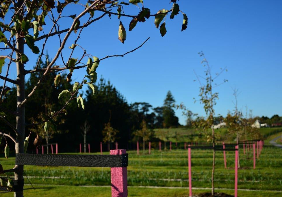 Resene Total Colour Awards 2014: Landscape