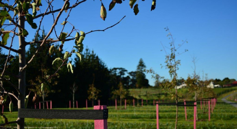 Resene Total Colour Awards 2014: Landscape