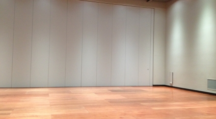 DORMA AL 401 / 501 Automatic Sliding Door Operator by dormakaba – EBOSS