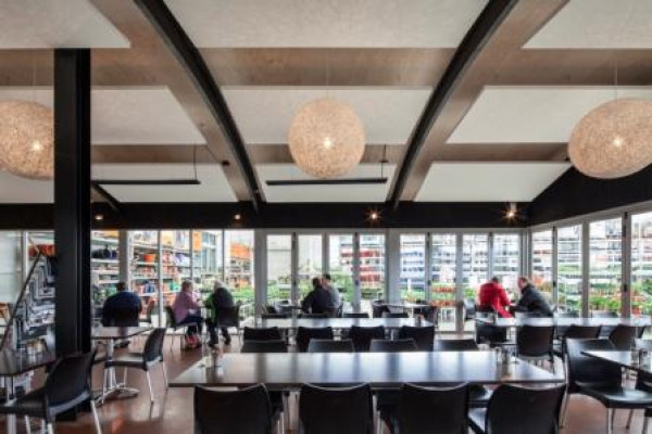 Enhanced Design and Acoustic Performance for Dunedin's Mitre 10 Mega Cafe