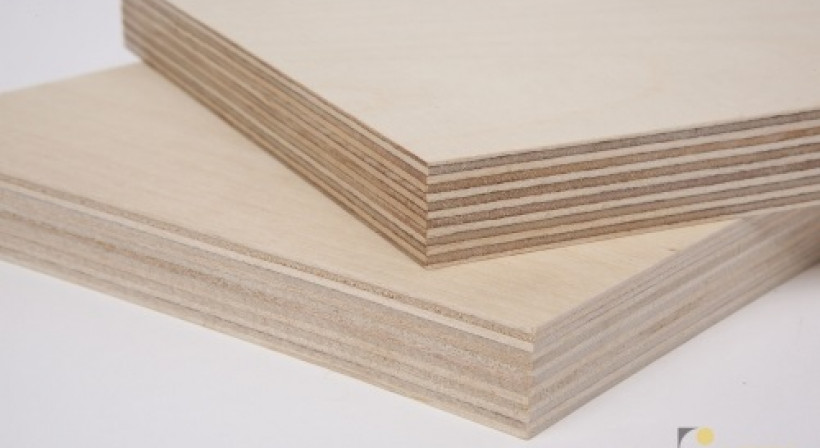 NZ Wood Products Unveils I-Built Birch Plywood