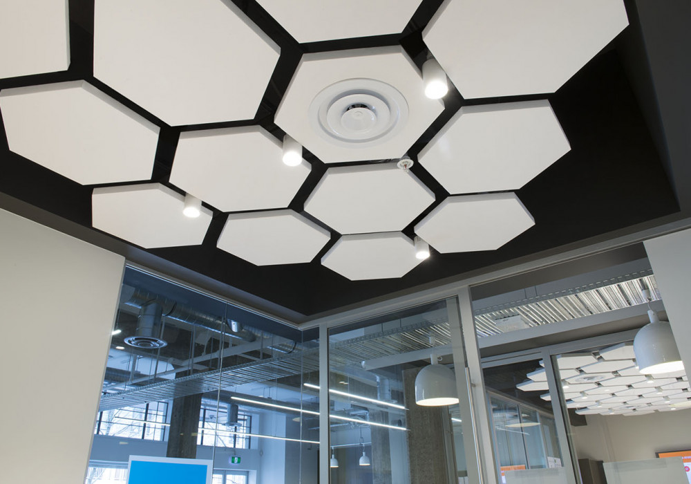 Acoustic Panels Fit Seamlessly into Unconventional Spaces