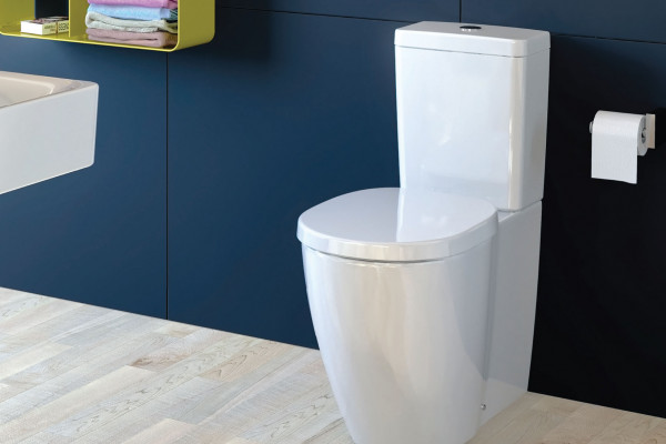 Overheight Toilet Suites Ideal for the Elderly 