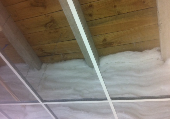 Mammoth: A Modern, Versatile and Safe Insulation Choice