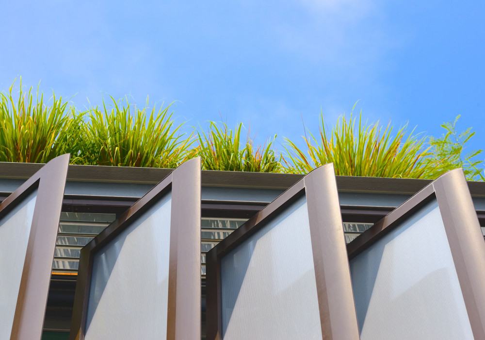 Viking's Roof Garden System Brings Roofs to Life