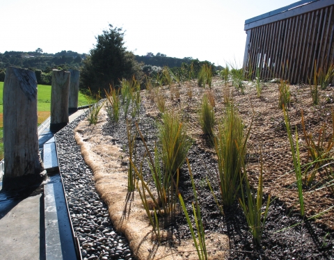 Green Roof1