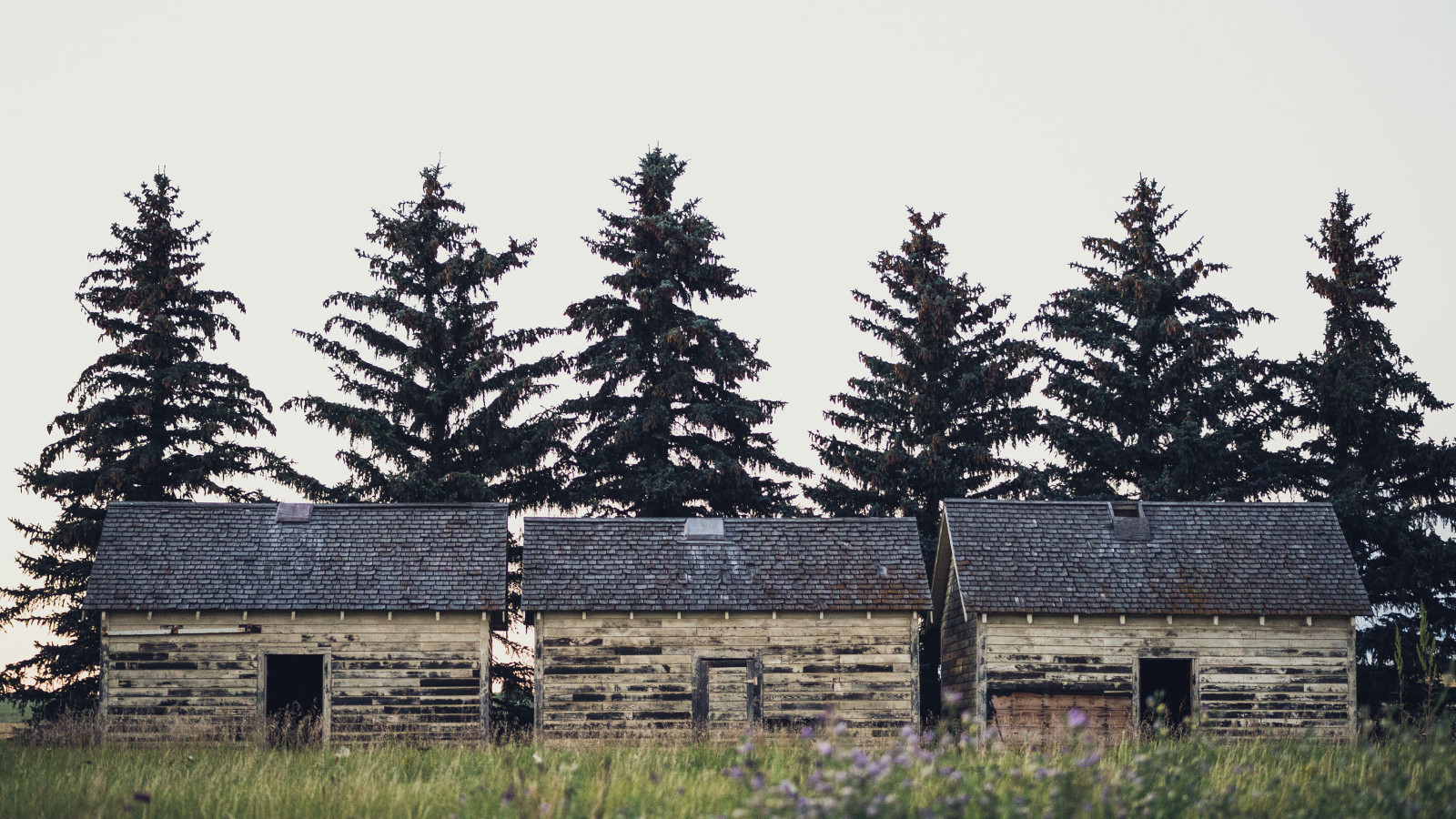 houses priscilla du preez 128958 unsplash