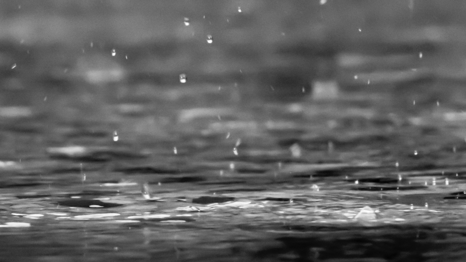 rain reza shayestehpour 14238 unsplash