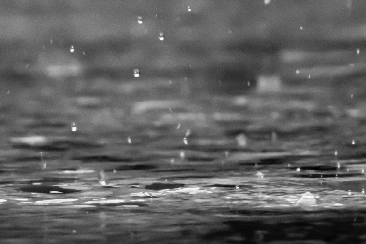 rain reza shayestehpour 14238 unsplash