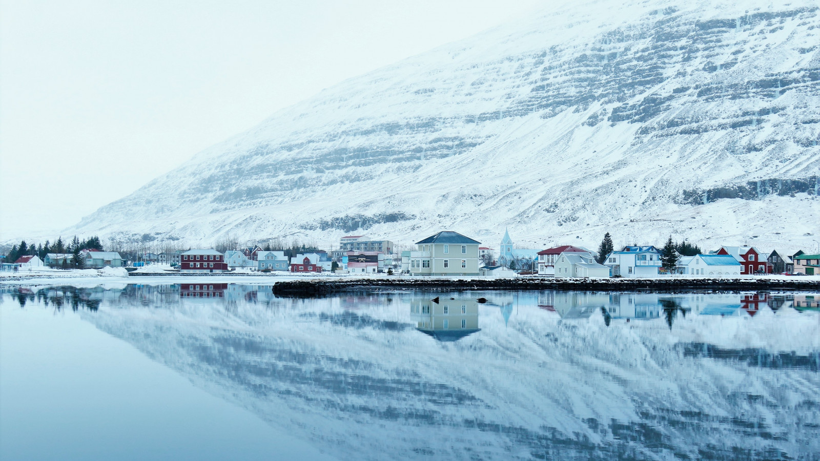 sveinn birkir bjornsson 2cL8ZO7FekI unsplash