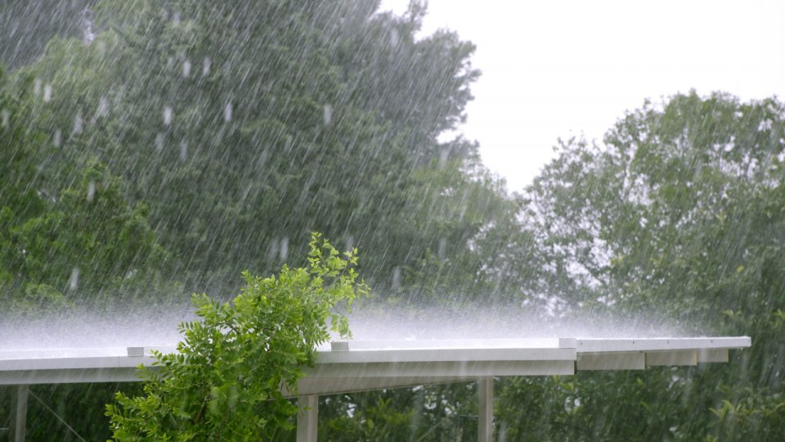 Rain on roof