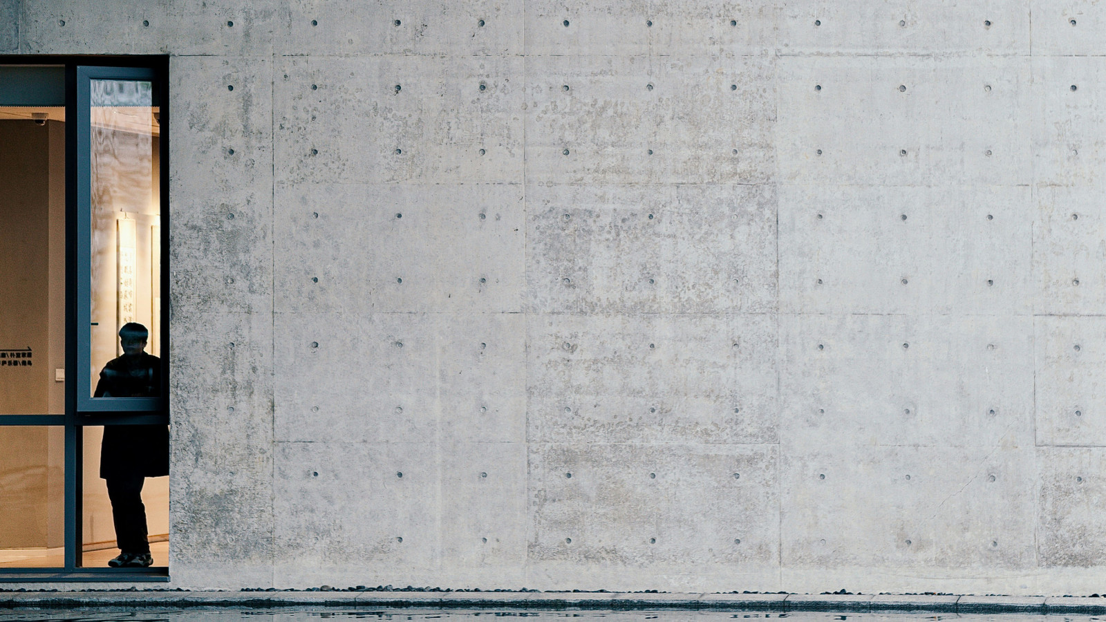 preview wellstudio 7vcrKU 7ZOQ unsplash copy