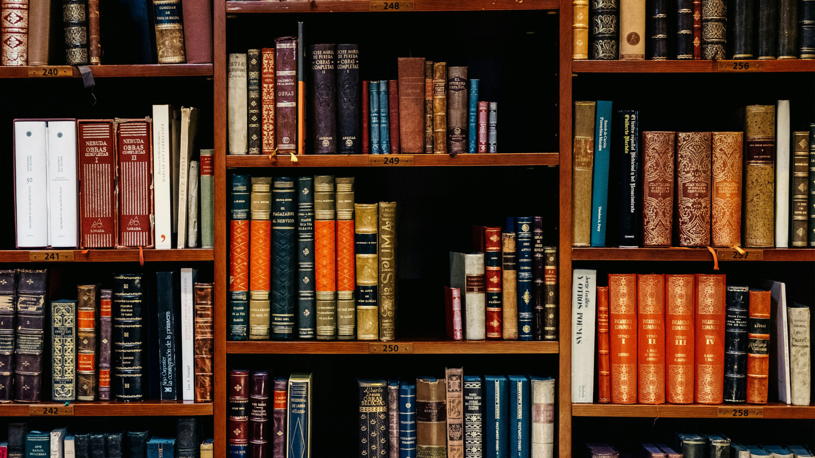 inaki del olmo NIJuEQw0RKg unsplash copy