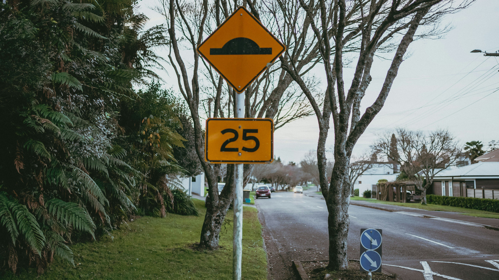 speed bump