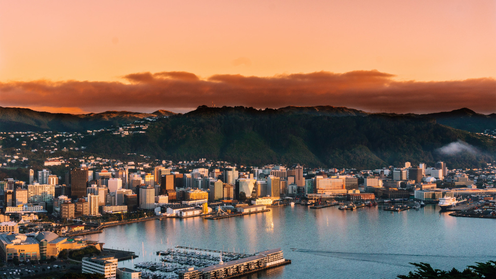 wellington pathway