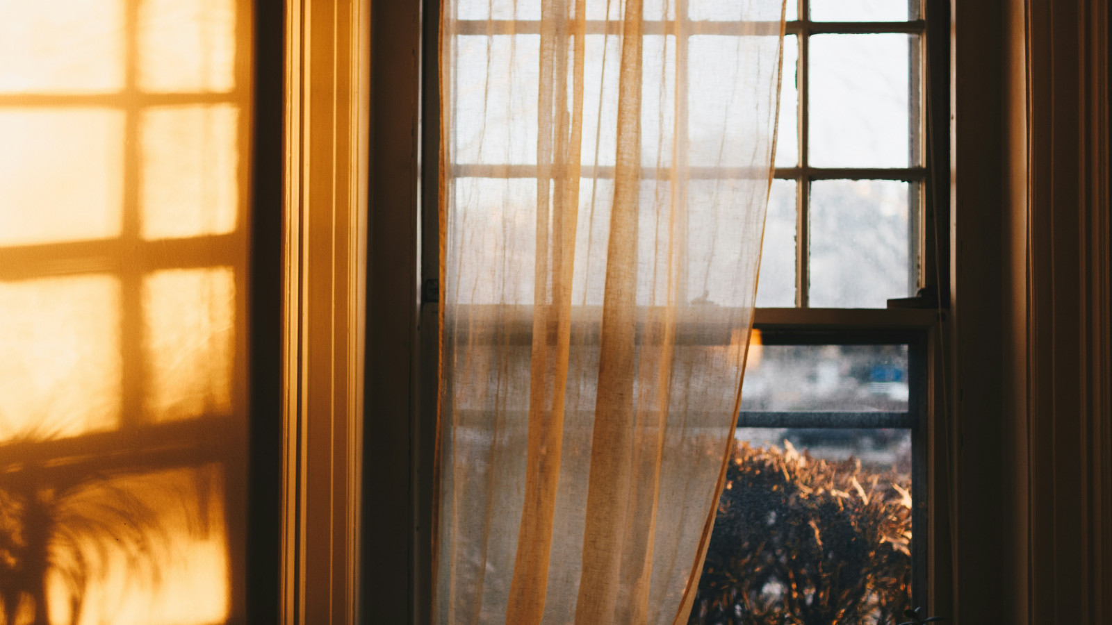 kelly sikkema yFUB1riRdA8 unsplash copy