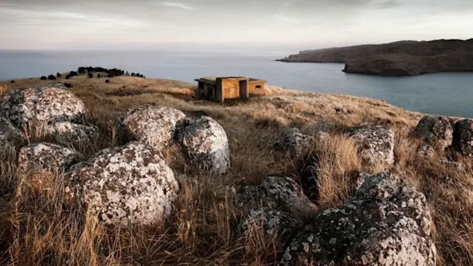 paint take back hut rocks nz