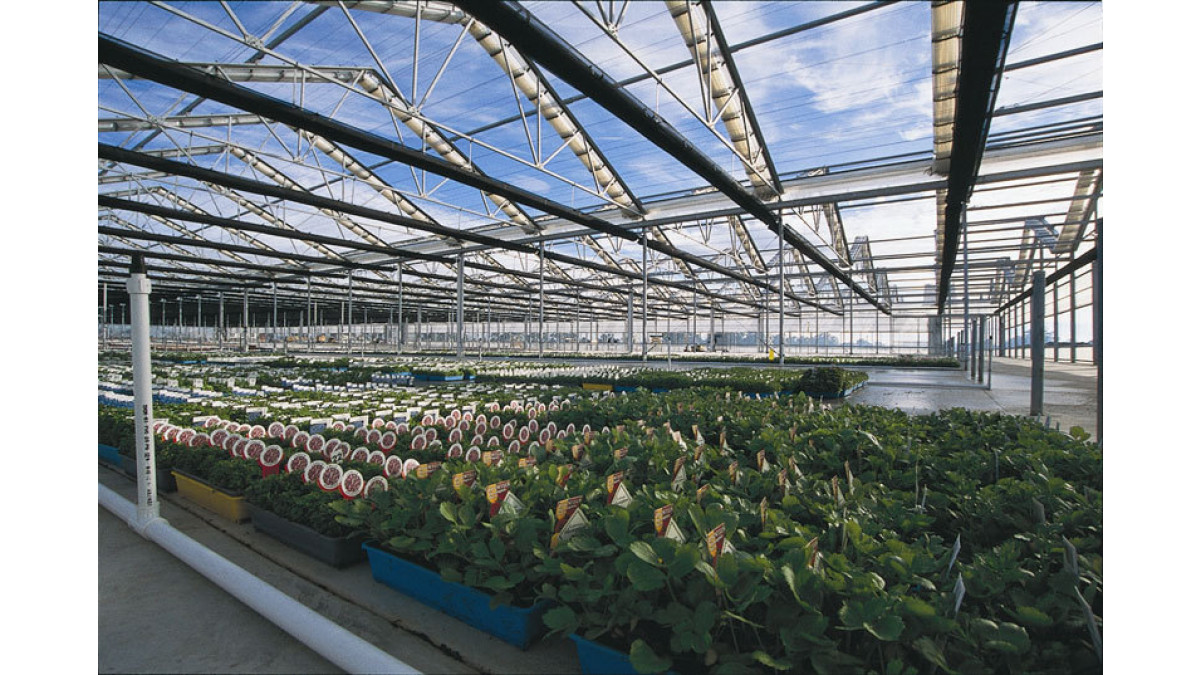 Laserlite Industrial Polycarbonate sheeting admits excellent natural light and provides protection against 99 per cent of harmful UV radiation.