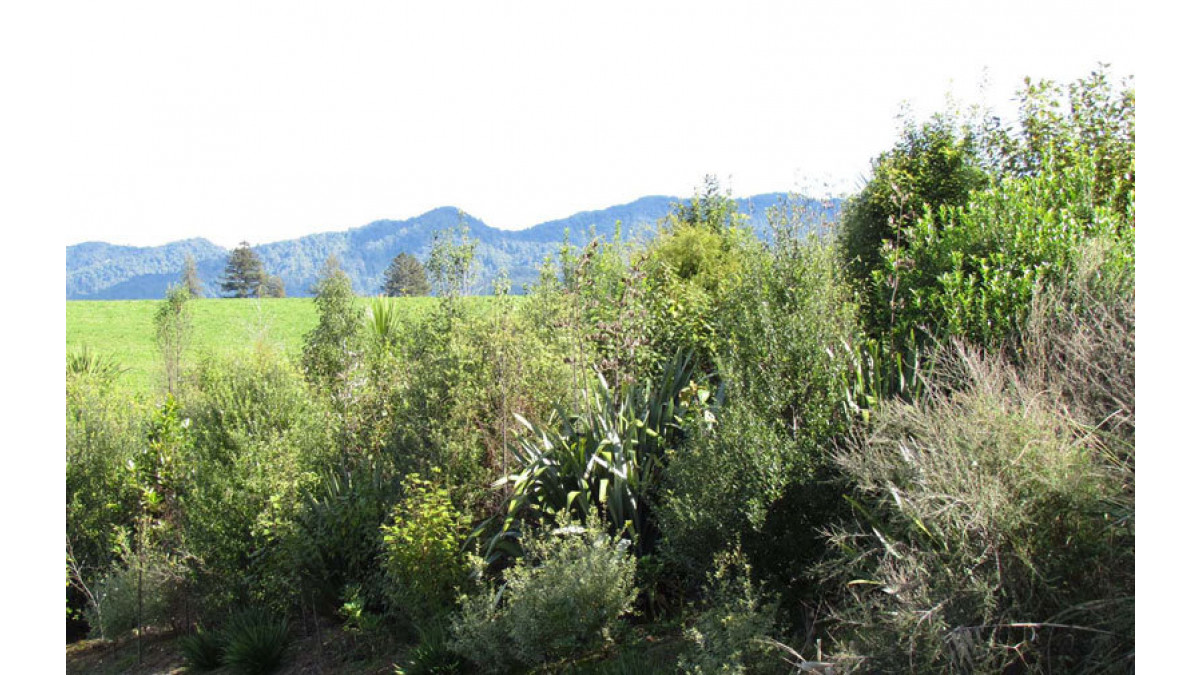 APL is in the process of completing a major revegetation programme on a South Waikato rural property that will see more than 320,000 native plants in the ground by the end of 2011 in permanent parkland forest. 