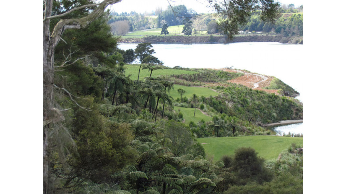 The reforestation programme is seen by conservationists as a boon for the birds of Maungatautari Mountain whose temperate rain forest is not so prolific as a food source because of its maturity.