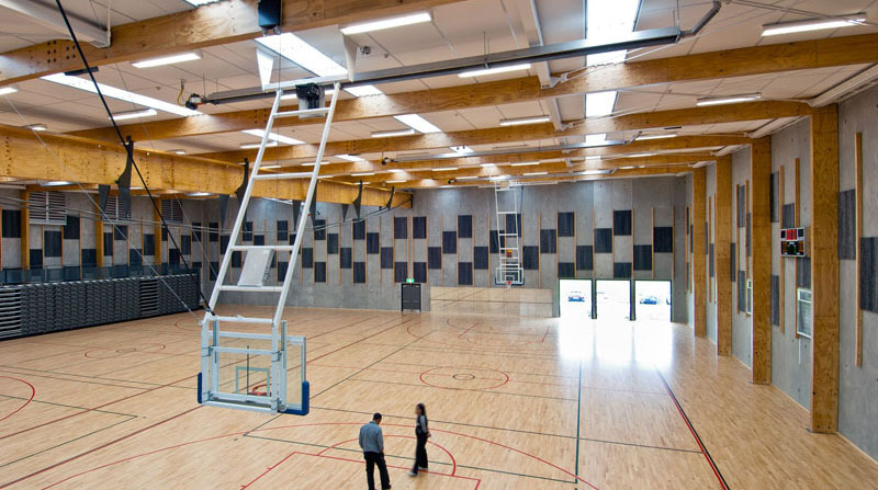 Large Module Ceiling Panels for Big Spaces at Nga Purapura