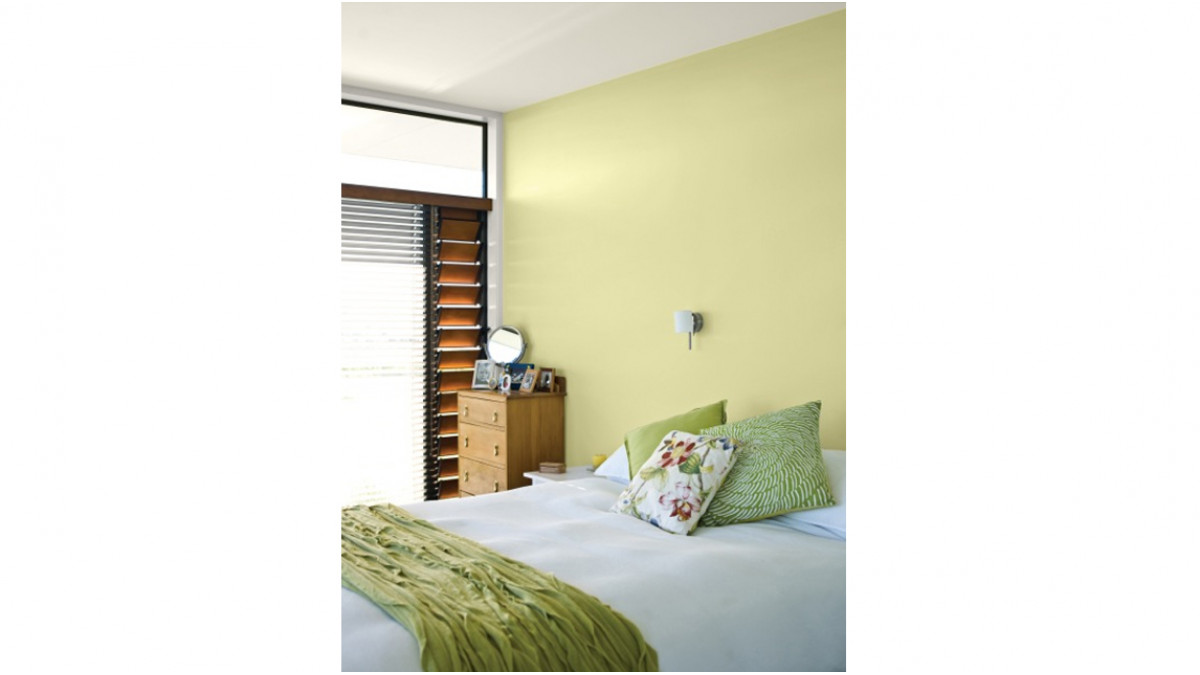 Greens continue to abound, moving towards yellow greens, such as Resene Spring Fever, and with a strong ochre influence, such as Resene Hibernate.