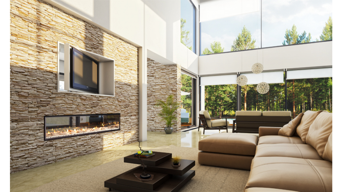 Are you interested solely in the visual attributes of the fireplace or efficient cost effective heating?
