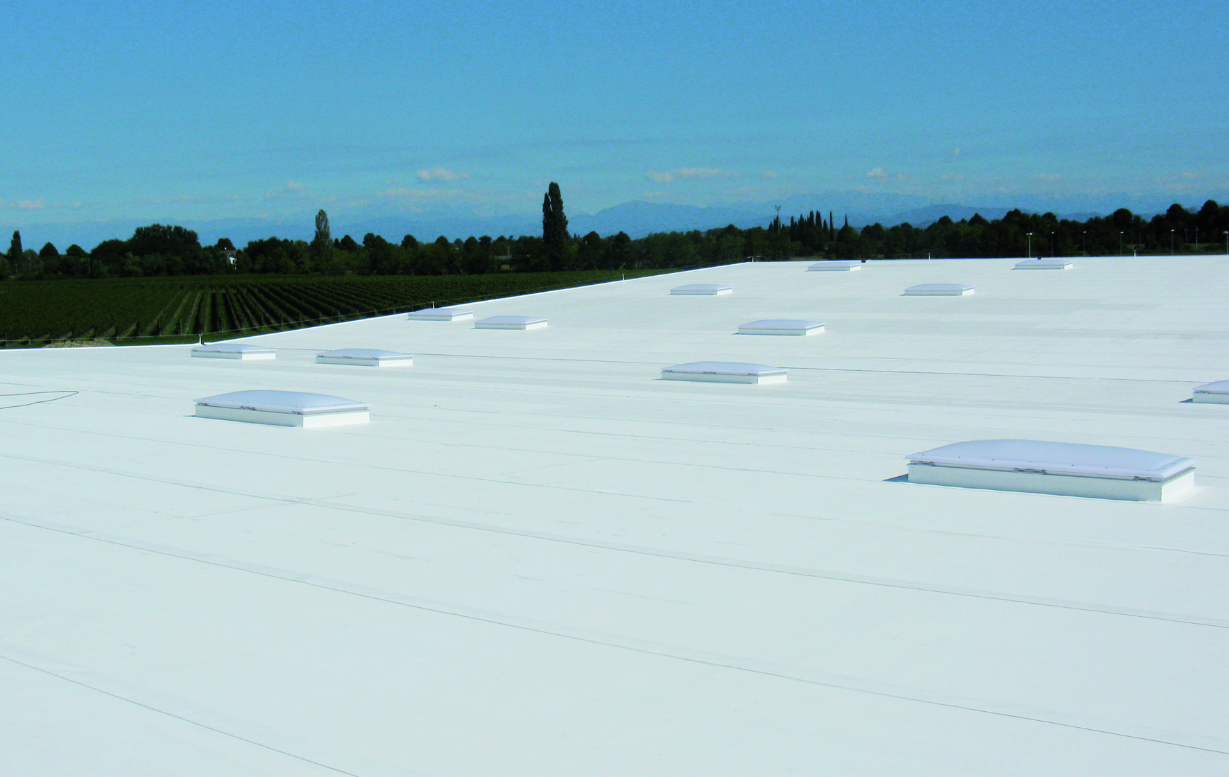 New Improved TPO Roofing Membrane EBOSS